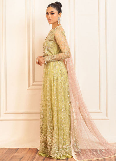Hemline By Mushq Embroidered Suit Unstitched 3 Piece MQ24HA D-02 Wasabi - Formal Collection