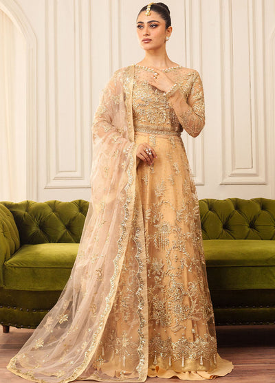 Hemline By Mushq Embroidered Suit Unstitched 3 Piece MQ24HA D-03 Chamois - Formal Collection