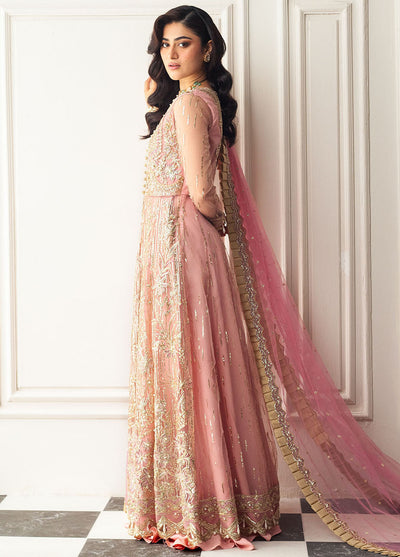 Hemline By Mushq Embroidered Suit Unstitched 3 Piece MQ24HA D-08 Amaranth - Formal Collection