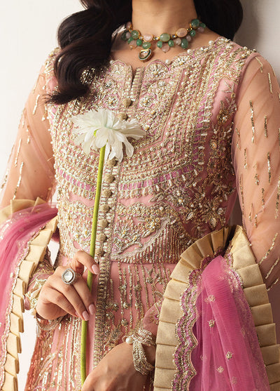 Hemline By Mushq Embroidered Suit Unstitched 3 Piece MQ24HA D-08 Amaranth - Formal Collection