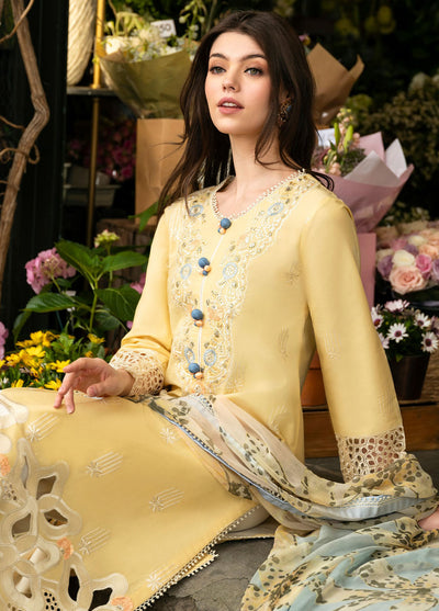 Hemline Odyssey By Mushq Unstitched Lawn Collection 2024 Sunset Sway