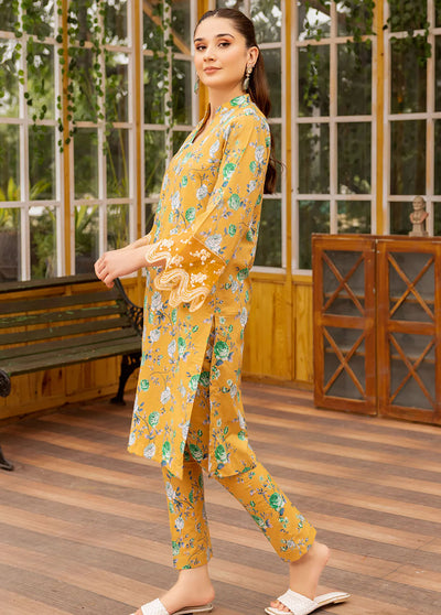 Esra Fashion Pret Embroidered Lawn 2 Piece Suit HD-23-24