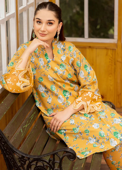 Esra Fashion Pret Embroidered Lawn 2 Piece Suit HD-23-24