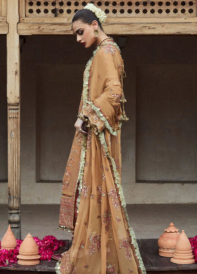 Hussain Rehar Embroidered Chiffon Suit Unstitched 3 Piece HRR24F Talai - Formal Collection