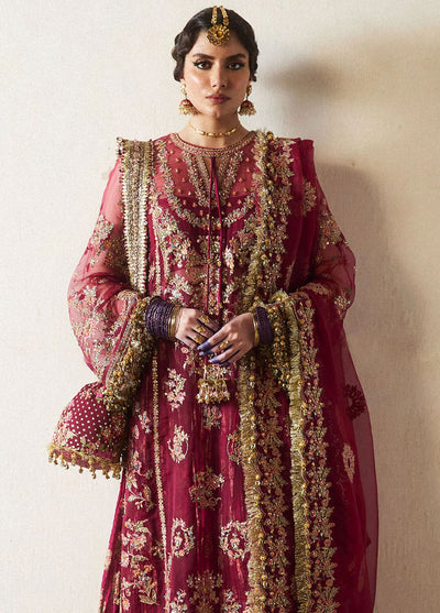 Hussain Rehar Embroidered Organza Suit Unstitched 3 Piece HRR24F Aabni - Formal Collection