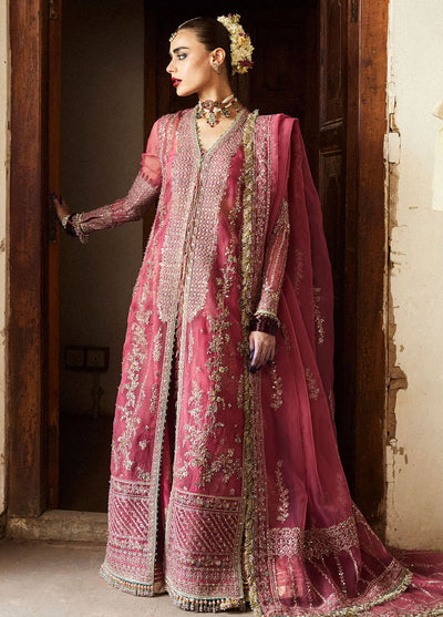 Hussain Rehar Embroidered Organza Suit Unstitched 3 Piece HRR24F Marjani - Formal Collection