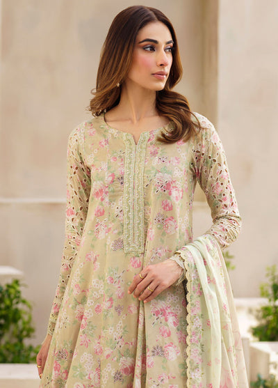 Iznik Unstitched Festive Lawn Collection 2024 SFL-05 Radiance