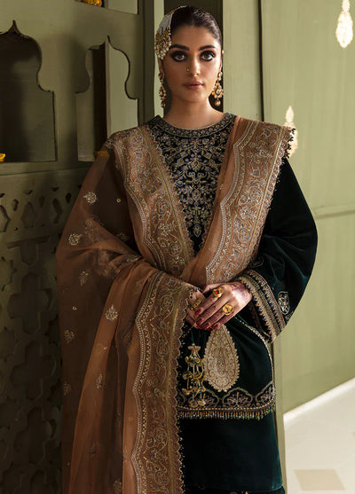 JahanAra By Baroque Luxury Velvet Collection 2023 UF-464