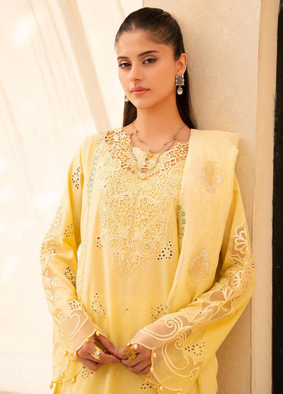 Jahan by Rajbari Embroidered Lawn Suits Unstitched 3 Piece RB25JPF D-6 A Oriya