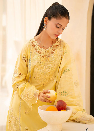 Jahan by Rajbari Embroidered Lawn Suits Unstitched 3 Piece RB25JPF D-6 A Oriya
