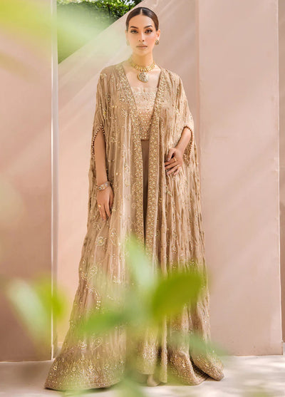 Malook By Shazia Ovais Pret Formal Chiffon 3 Piece Suit MWE-008 Kiran