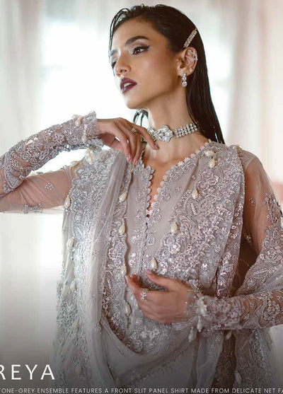 Luminara By Ayzel Embroidered Net Suit Unstitched 3 Piece AAF24L AWF-07 Freya - Formal Collection