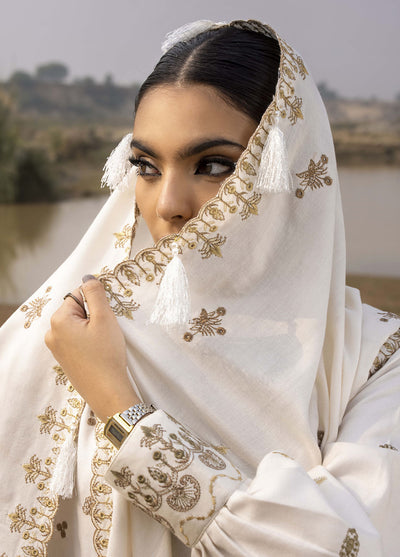 Lyra by Meerak Unstitched Winter Collection 2024 D-07 Noor