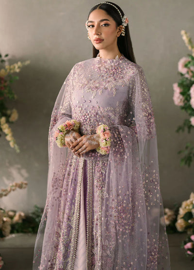 Mastani Evening by Mushq Unstitched Luxury Chiffon Collection 2024 MCH-01 Alyana