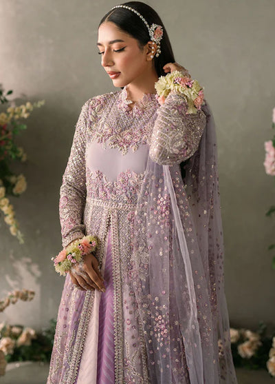 Mastani Evening by Mushq Unstitched Luxury Chiffon Collection 2024 MCH-01 Alyana