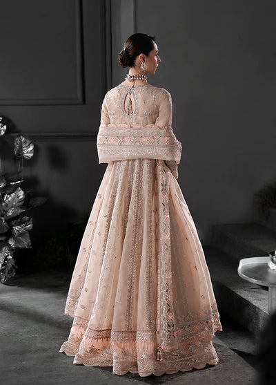 Elirah by Qalamkar Embroidered Organza Suits Unstitched 3 Piece QLM25EF MF-01 Lustra