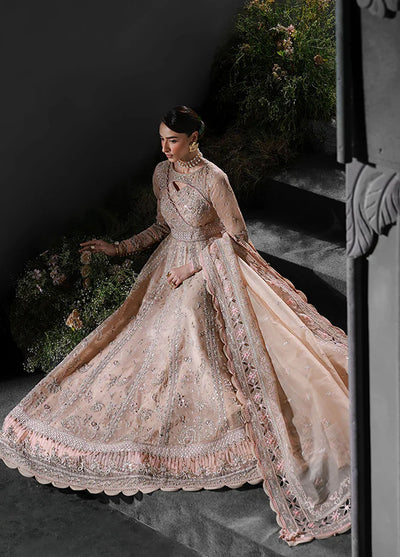 Elirah by Qalamkar Embroidered Organza Suits Unstitched 3 Piece QLM25EF MF-01 Lustra