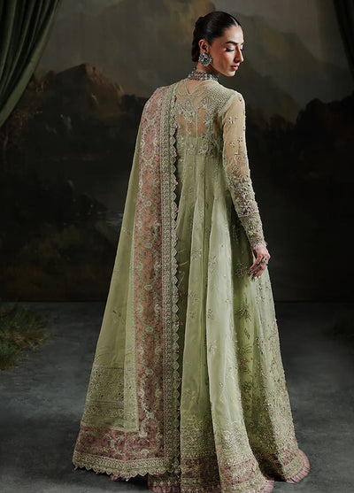 Elirah by Qalamkar Embroidered Organza Suits Unstitched 3 Piece QLM25EF MF-02 Sage Aura