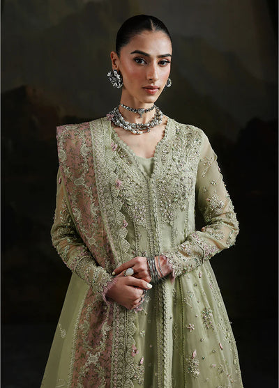 Elirah by Qalamkar Embroidered Organza Suits Unstitched 3 Piece QLM25EF MF-02 Sage Aura