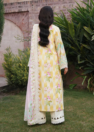 Manara Unstitched Vintage Karandi Fall Collection 2024 MVK-02 Mushk