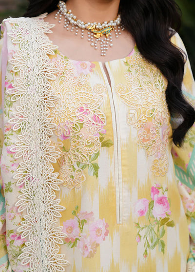 Manara Unstitched Vintage Karandi Fall Collection 2024 MVK-02 Mushk