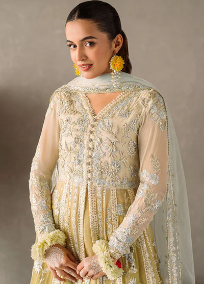 Mastani Evening by Mushq Unstitched Luxury Chiffon Collection 2024 MCH-06 Hira