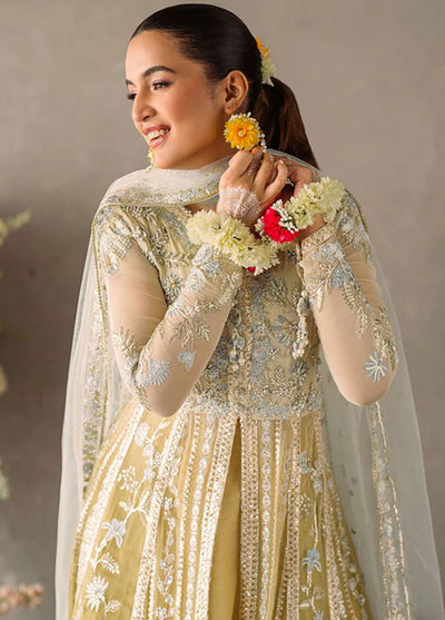 Mastani Evening by Mushq Unstitched Luxury Chiffon Collection 2024 MCH-06 Hira