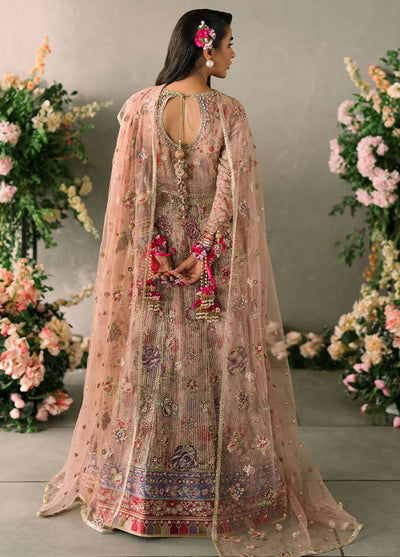 Mastani Evening by Mushq Unstitched Luxury Chiffon Collection 2024 MCH-07 Sona