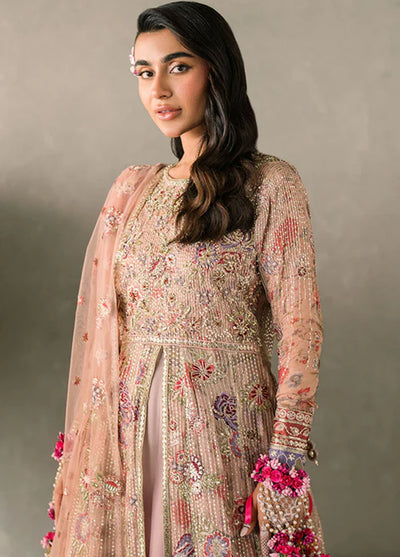 Mastani Evening by Mushq Unstitched Luxury Chiffon Collection 2024 MCH-07 Sona