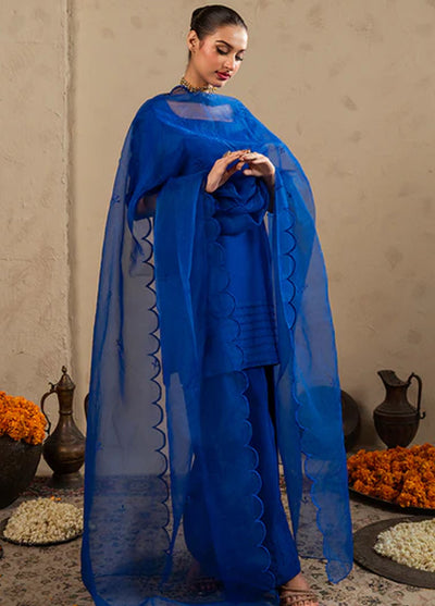 Meeral Pret Plain Raw Silk 2 Piece Suit SOL-002-V2