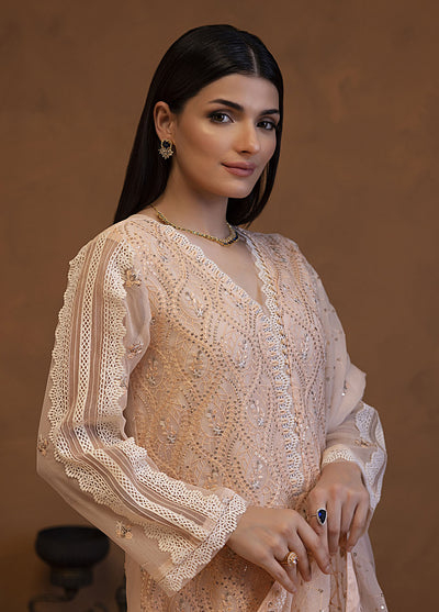 Mehar by Shamooz Unstitched Festive Collection 2024 SU-117 Diyar