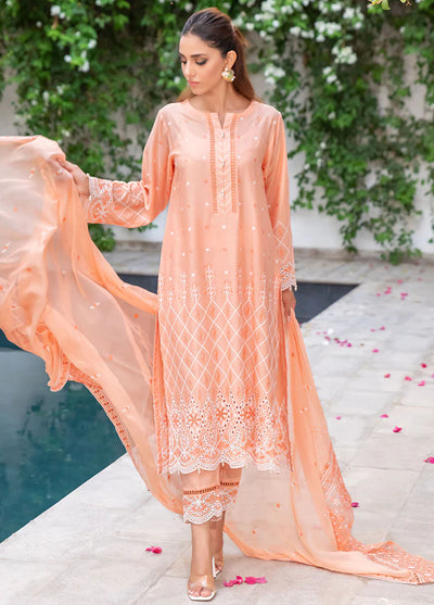 Mehro Maah By Addee Unstitiched Lawn Collection 2024 USA-1057