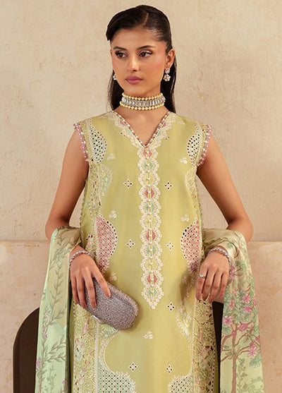 Mehroze by Bin Ilyas Embroidered Lawn Suit Unstitched 3 Piece BI25MS 94 B