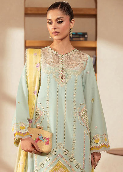 Mehroze by Bin Ilyas Embroidered Lawn Suit Unstitched 3 Piece BI25MS 96 B