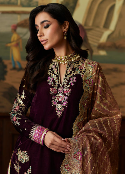 Mina Hasan Velvet Luxe Formals Collection 2024 Ayesha