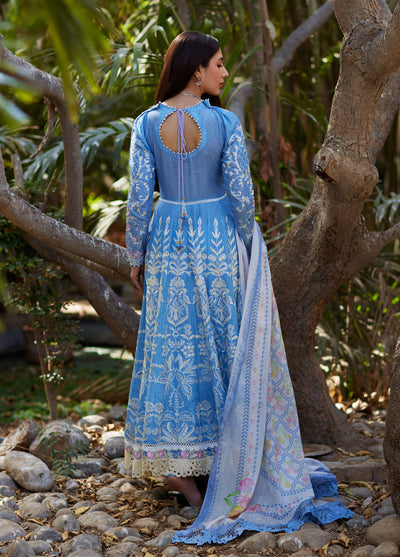 Mina Hasan Embroidered Lawn Suits Unstitched 3 Piece MNH25LL Baano