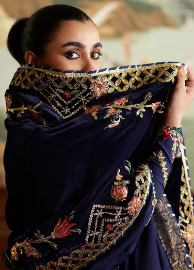Mina Hasan Velvet Luxe Formals Collection 2024 Raniya