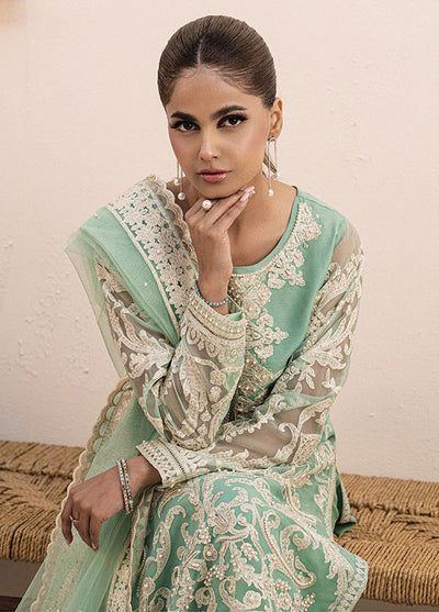 Miorah By House Of Nawab Unstitched Collection 2024 D-1 Irfa A