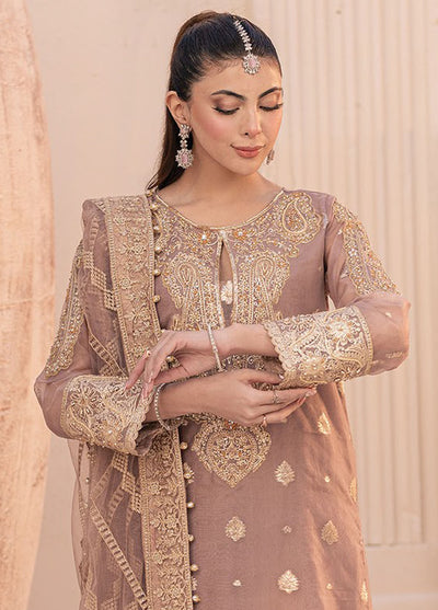 Miorah By House Of Nawab Unstitched Collection 2024 D-3 Iramma B