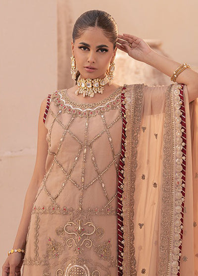 Miorah By House Of Nawab Unstitched Collection 2024 D-6 Zidhar B