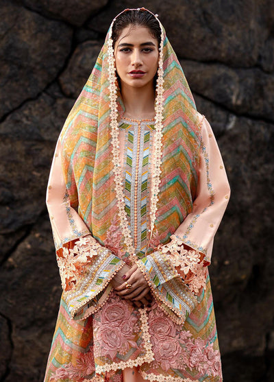 Mohsin Naveed Ranjha Festive Lawn Collection 2024 MFL-018 Rani