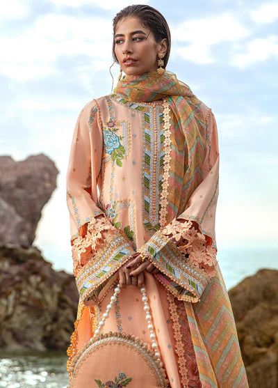 Mohsin Naveed Ranjha Festive Lawn Collection 2024 MFL-018 Rani