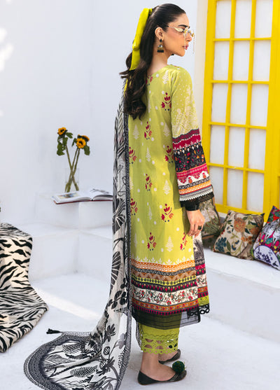 N Girl by Nureh Premium Lawn Collection 2024 NGL-11