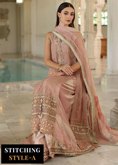 Noor by Saadia Asad Embroidered Cotton Net Suits Unstitched 3 Piece NSA25UF D-04