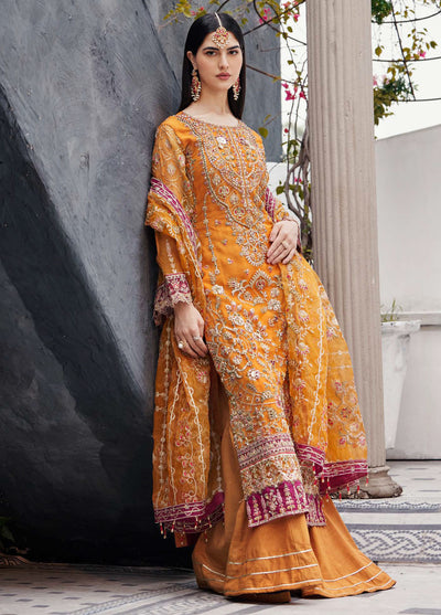 Nawabzadi by Emaan Adeel Unstitched Collection 2024 Ruhab