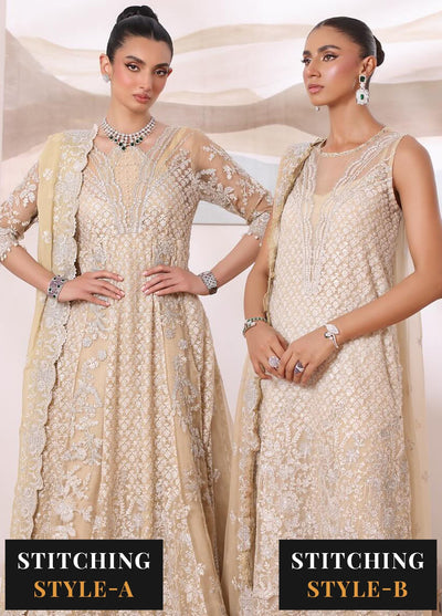 Noor By Saadia Asad Chiffon De Luxe Formal Collection 2024 D-01 Nura