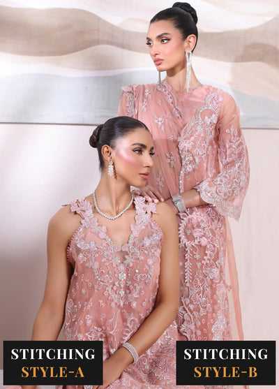 Noor By Saadia Asad Chiffon De Luxe Formal Collection 2024 D-06 Vera