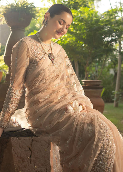 Noor By Azzal Wedding Formals Collection 2023 D-04 Derya