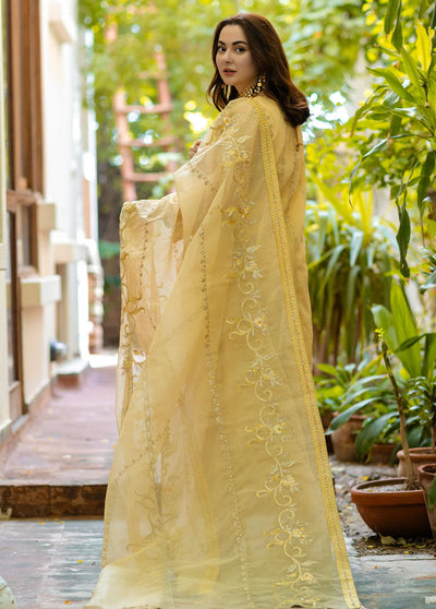 Noor By Azzal Wedding Formals Collection 2023 D-05 Nureh