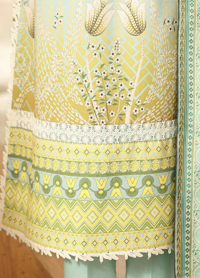 Pareesa by Roheenaz Printed Cambric Suits Unstitched 3 Piece RN25P RNZ-07 A Zirwa